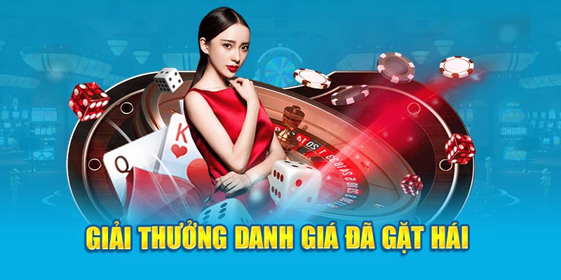 Giải thưởng danh giá đã gặt hái 