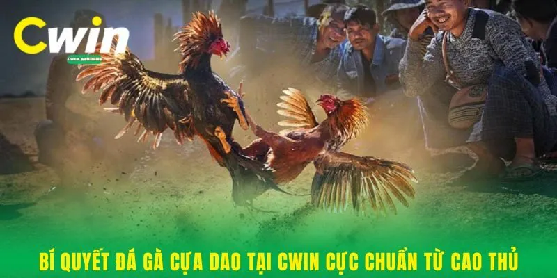 Bí quyết đá gà cựa dao tại Cwin cực chuẩn từ cao thủ