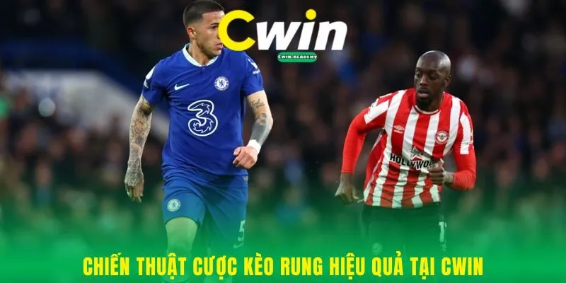 Chiến thuật cược kèo rung hiệu quả tại Cwin