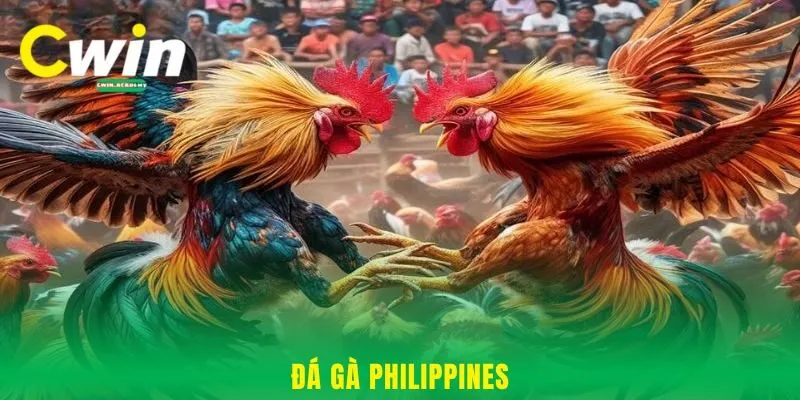 Đá gà Philippines Cwin - Bí kíp đặt cược luôn luôn thắng