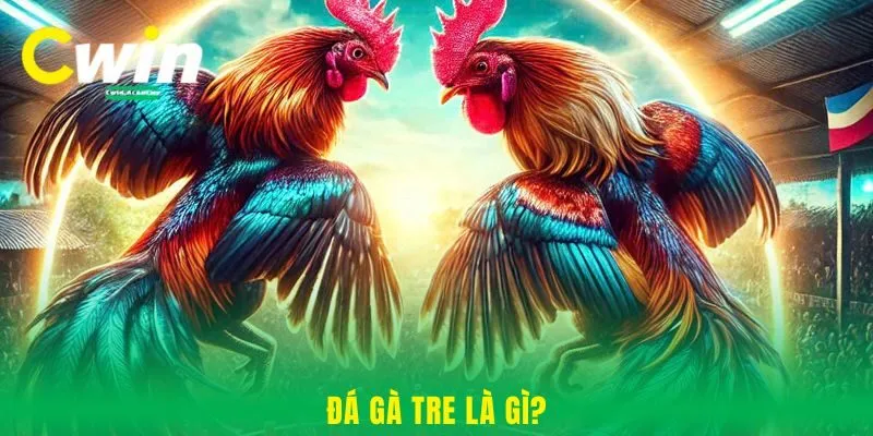 Đá gà tre là gì?