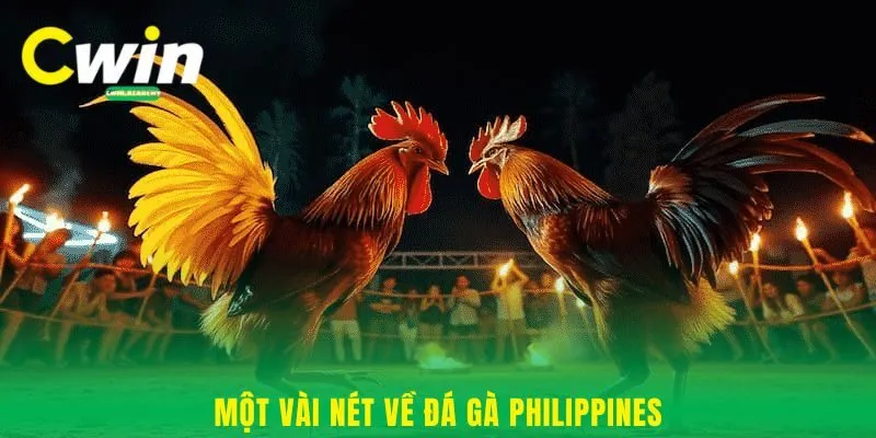 Một vài nét về đá gà Philippines